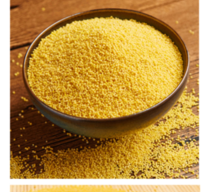 黔东南黄平糯小米500g农家自种2021新米生态小米粗粮养生熬健康好粥