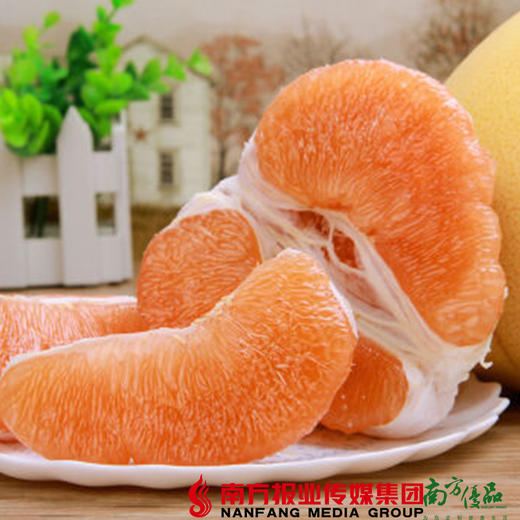 【珠三角包邮】启航 梅州黄金蜜柚 2.5斤-3.5斤/个 2个/份（次日到货） 商品图2