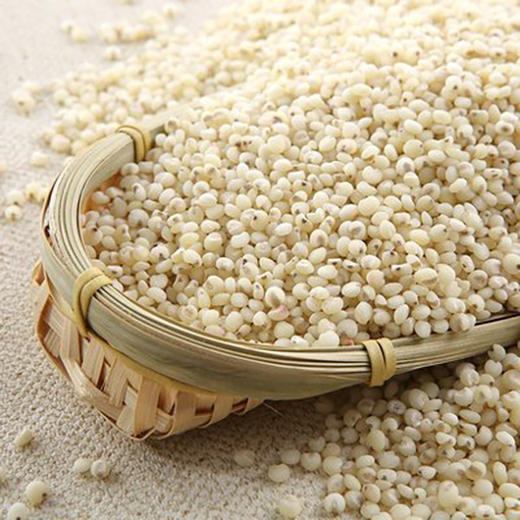 有机高粱米 商品图3