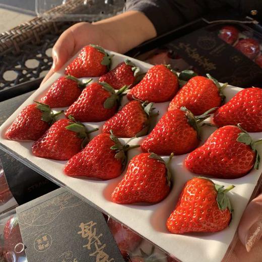 现摘，下单后2-3天到货【丹东东港倾城红颜草莓】约重1.8-2斤，2盒装，来自丹东东港椅圈镇核心产品 商品图5