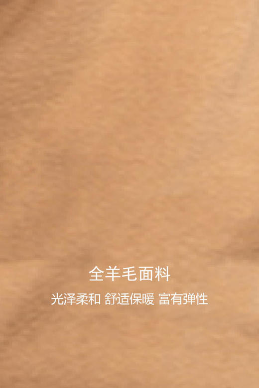 callisto全羊毛毛衣 FPKNW109C 商品图4