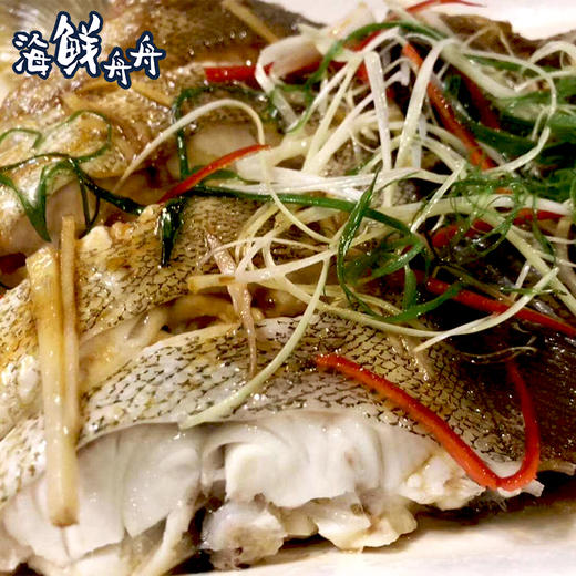 【野生】超低温  海钓活冻石斑鱼 300~500g/条 商品图4