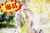 擦玻璃/4小时 商品缩略图0