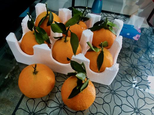 【特别推荐】爱媛38号果冻橙8斤/10斤  皮薄肉厚 果肉细腻 酸甜多汁 可以吸的果冻橙 商品图6