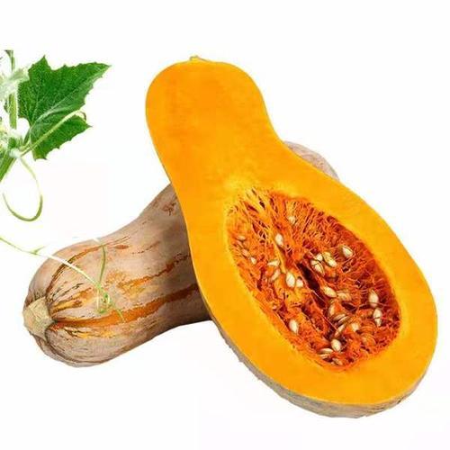 爱农  北京有机蔬菜  老南瓜600g 商品图0