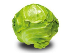 爱农  北京有机蔬菜  圆白菜500g