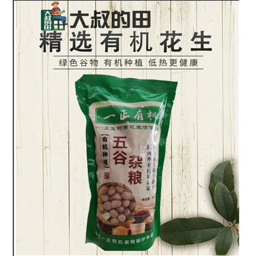有机花生 商品图0