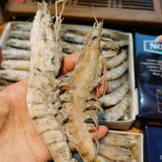 至尊红标 老虎虾礼盒 虾中爱马仕 口感鲜甜Q弹 15-20头超大规格 深海纯净无污染 原装进口 包邮|百里食 0114 商品图9