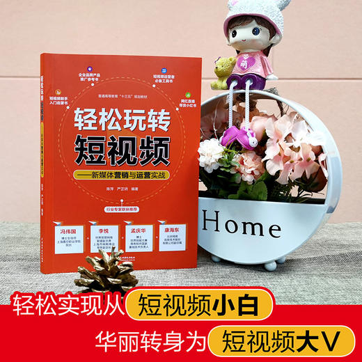 轻松玩转短视频——新媒体营销与运营实战 商品图1