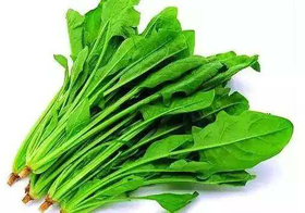 爱农  北京有机蔬菜  菠菜450g