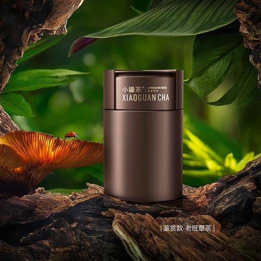 小罐茶鉴赏款特级老班章普洱茶生茶紧压茶茶叶礼盒装112g 商品图3