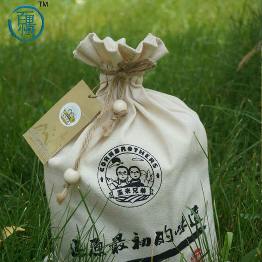 有机小米 好喝到停不下来 养脾胃 要选好食材  超方便的小包装 100g*25小包|百里食 商品图1