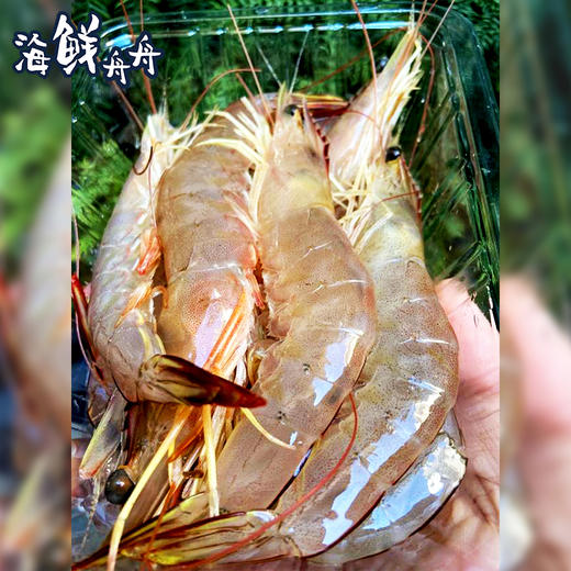【野生】超低温 野生基围虾（台湾海峡）400克/盒/3盒 商品图1