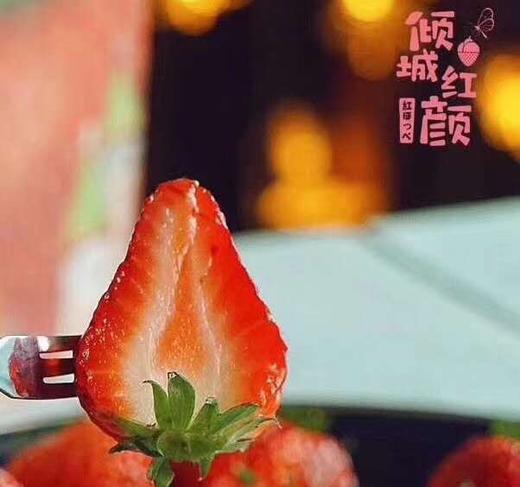 现摘，下单后2-3天到货【丹东东港倾城红颜草莓】约重1.8-2斤，2盒装，来自丹东东港椅圈镇核心产品 商品图1