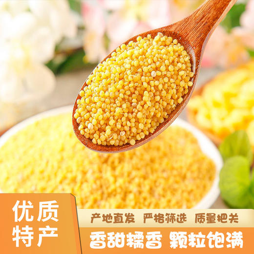 陕北米脂黄小米 商品图0