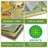 乐乐趣揭秘翻翻书系列第七辑 揭秘古代文明 商品缩略图5