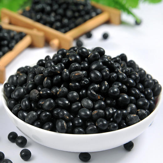 有机黑豆 商品图3