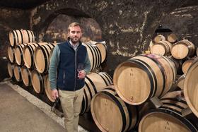 The new generation in Burgundy