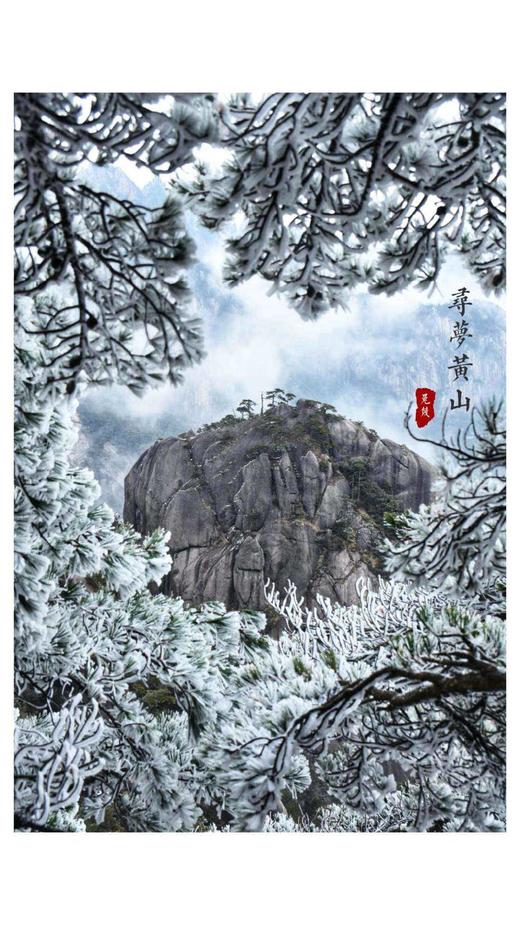 12.30/1.5【颂•雪 黄山】冬日黄山•雾凇•云海•日出摄影4天采风 商品图3