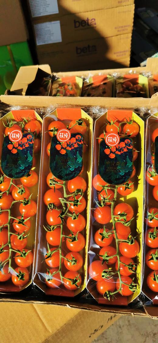 枝纯串千禧655盒