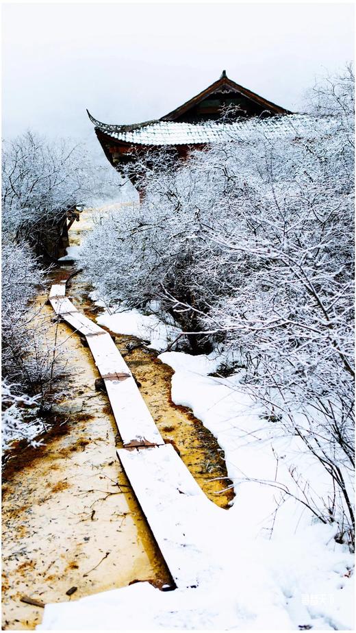 【颂•雪 四川】九寨沟黄龙冰雪世界6日行摄 商品图0