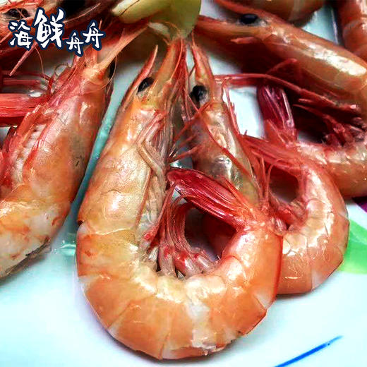 【野生】超低温 硬壳滑皮虾 商品图2