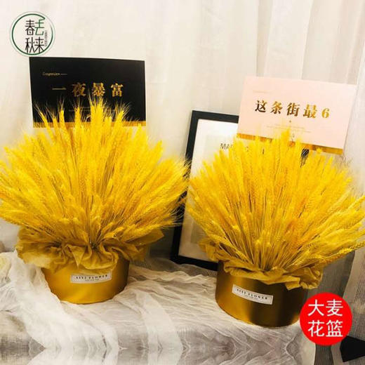 大吉大利2（单个）    大麦，花篮（3062） 商品图0