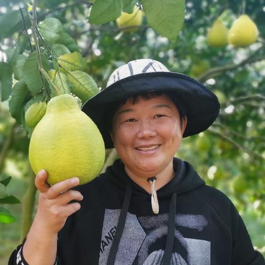 【劲爆开团】江永香柚，纯甜无酸，清脆爽口，水分好！产地直采整车到店 商品图6