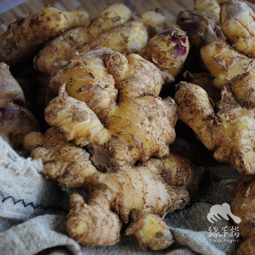 生态小黄姜 | 合作生产* Eco-ginger | Coproduction 商品图3