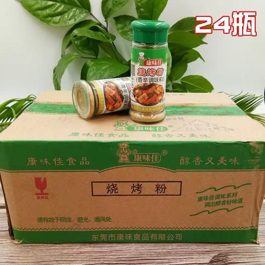 康味佳烧烤粉20g*24瓶/件 商品图0