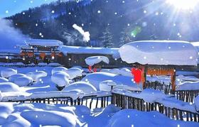 【滑雪营】亲子撒欢大东北-哈尔滨冰雪奇缘之旅