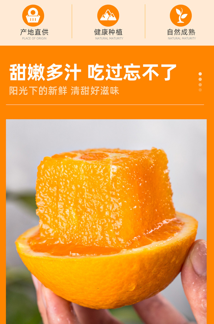 秭归纽荷尔脐橙简介(巫山纽荷尔脐橙多少钱一斤)