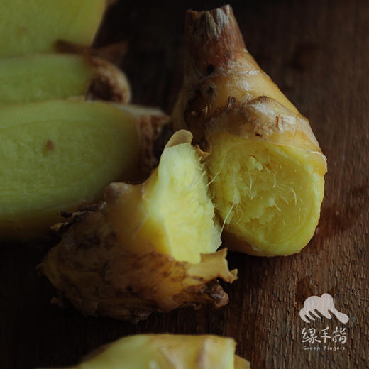 生态小黄姜 | 合作生产* Eco-ginger | Coproduction 商品图0