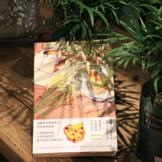 唯爱与美食不可辜负山亭夜宴 著 美食故事集 生活随笔 商品图4