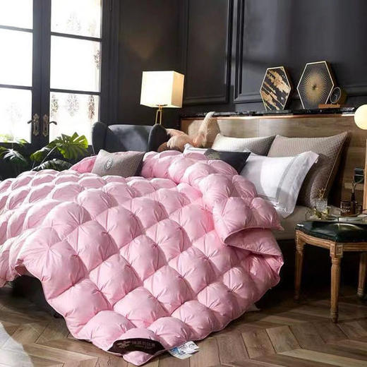 KMFZ022新款高端优雅气质加厚保暖白鹅绒羽绒被 商品图2