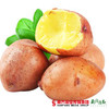 【全国包邮】红皮土豆 净重4.8-5斤/箱（72小时内发货） 商品缩略图1