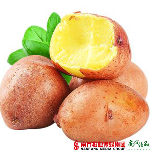 【全国包邮】红皮土豆 净重4.8-5斤/箱（72小时内发货） 商品图1