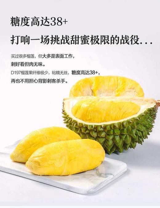 马来西亚 D197 猫山王榴莲（液氮冷冻果） 商品图4
