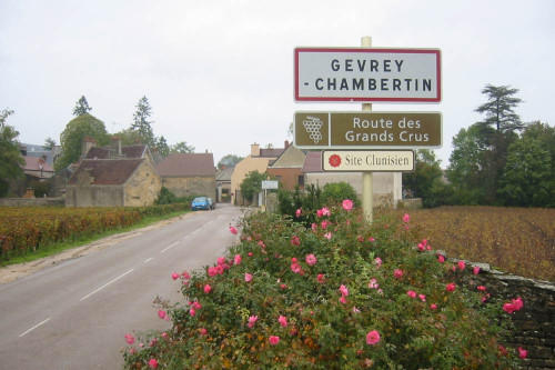 Reviewing the Sweet Spots: Gevrey-Chambertin & the Northern Côte de Nuits 商品图0