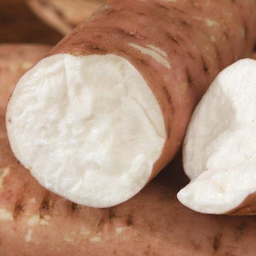 【牛奶冰糖心地瓜】 约5斤/箱，日本品种，肉细无丝 商品图0