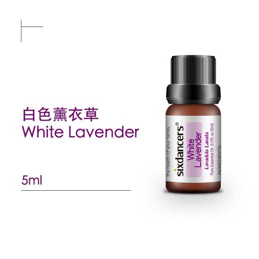 白色薰衣草精油 商品图0