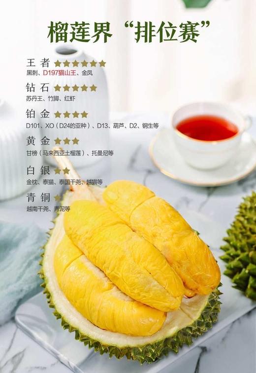马来西亚 D197 猫山王榴莲（液氮冷冻果） 商品图1