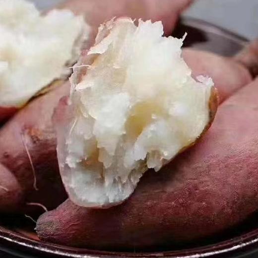 【牛奶冰糖心地瓜】 约5斤/箱，日本品种，肉细无丝 商品图2