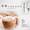 唐语鲜稻胚芽米 （奖品） 商品缩略图0