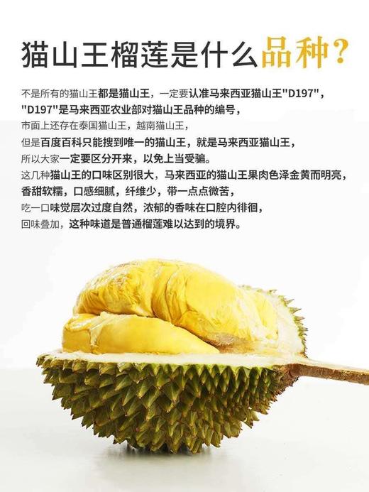 马来西亚 D197 猫山王榴莲（液氮冷冻果） 商品图5