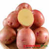【全国包邮】红皮土豆 净重4.8-5斤/箱（72小时内发货） 商品缩略图0