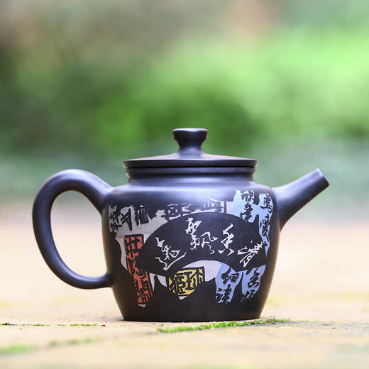 谭知凡 壶 商品图0