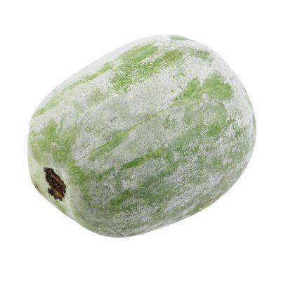 上新价08元斤新鲜圆宝小冬瓜