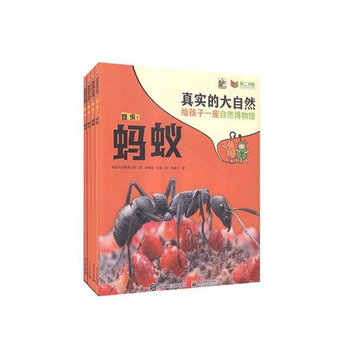 真实的大自然 昆虫1（全4册） 商品图0