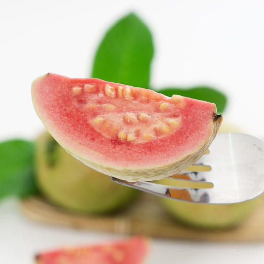 红心芭乐 商品图2